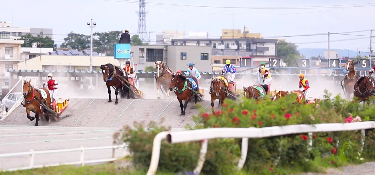 十勝・ばんえい競馬