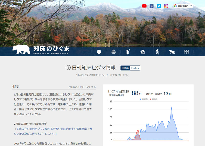 知床のひぐま